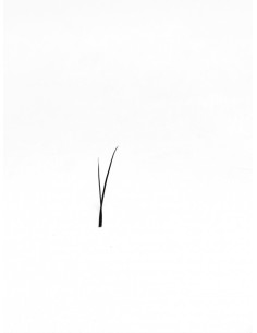 SPEEDY VOLUME ČOKOLÁDOVÉ zatočenie D 2